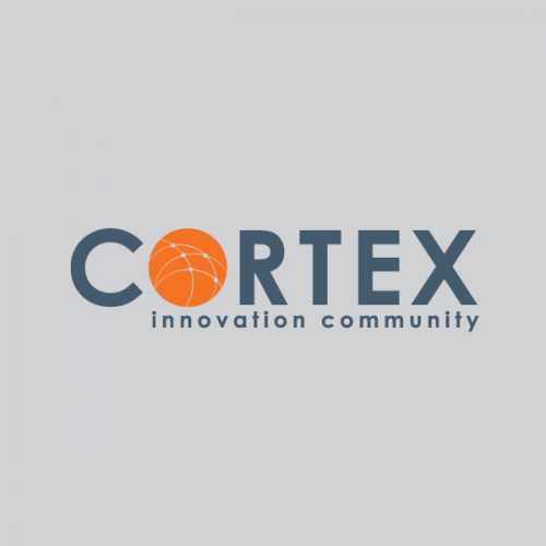 cortex3